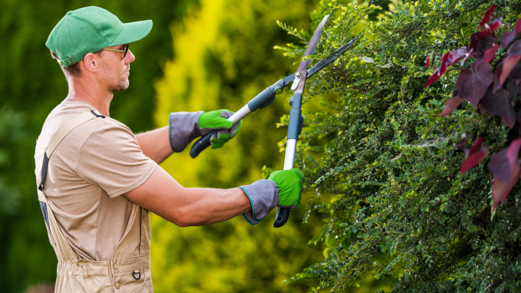 gardener